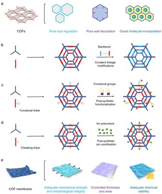 新型共价有机框架膜材料突破能源储存与转换瓶颈——记天津科技大学轻工科学与工程学院司传领团队的重要研究进展