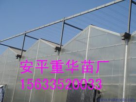 创新驱动下的新型膜材料制造 技术突破与应用前景